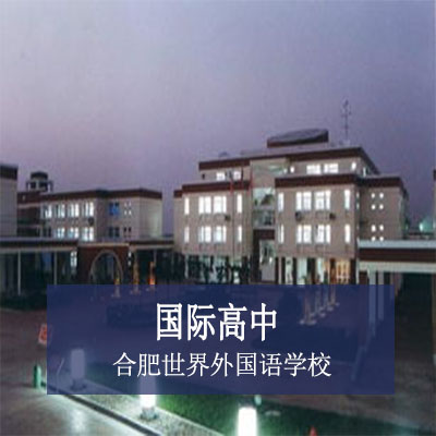合肥世界外国语学校国际高中